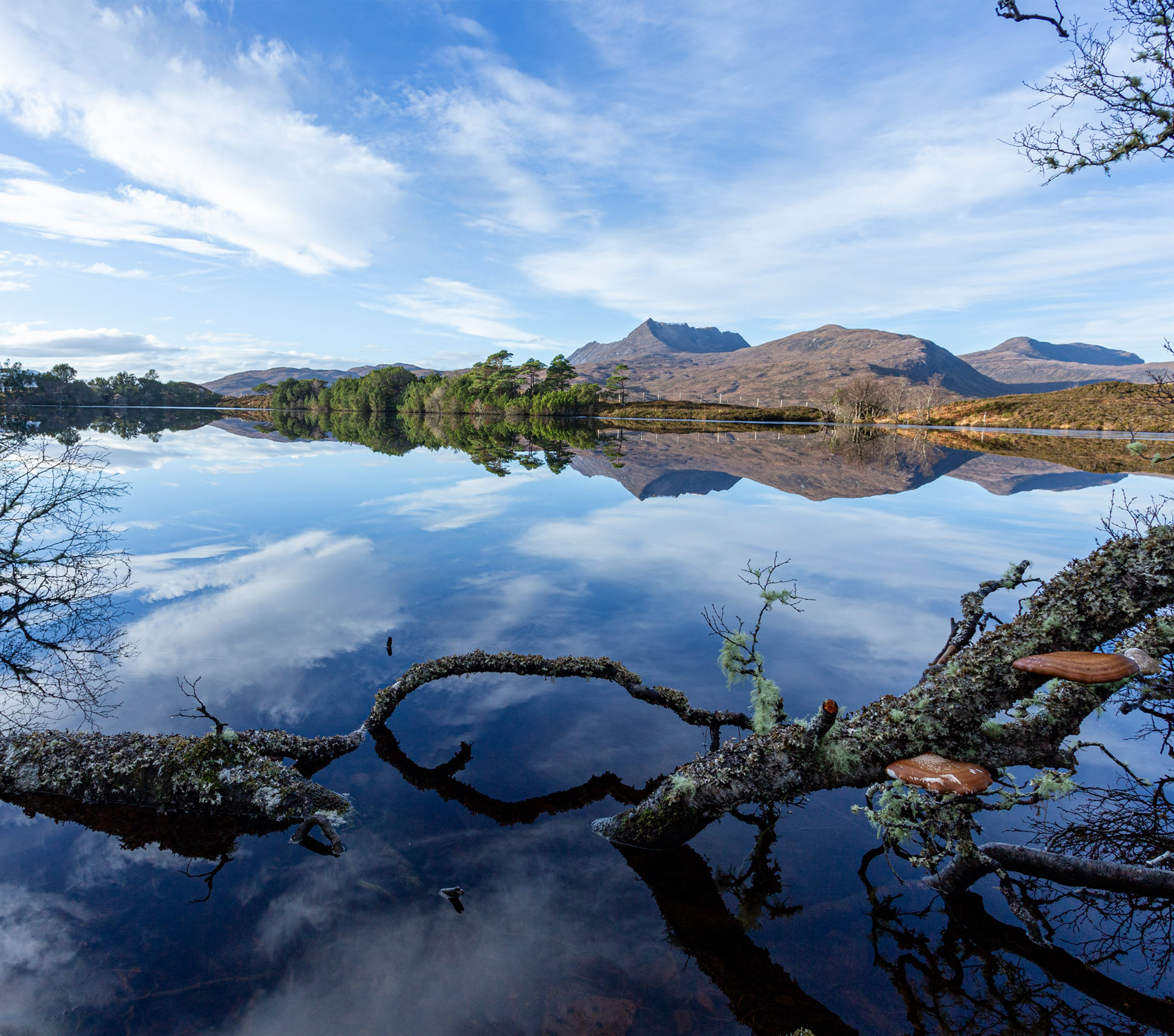 Assynt 